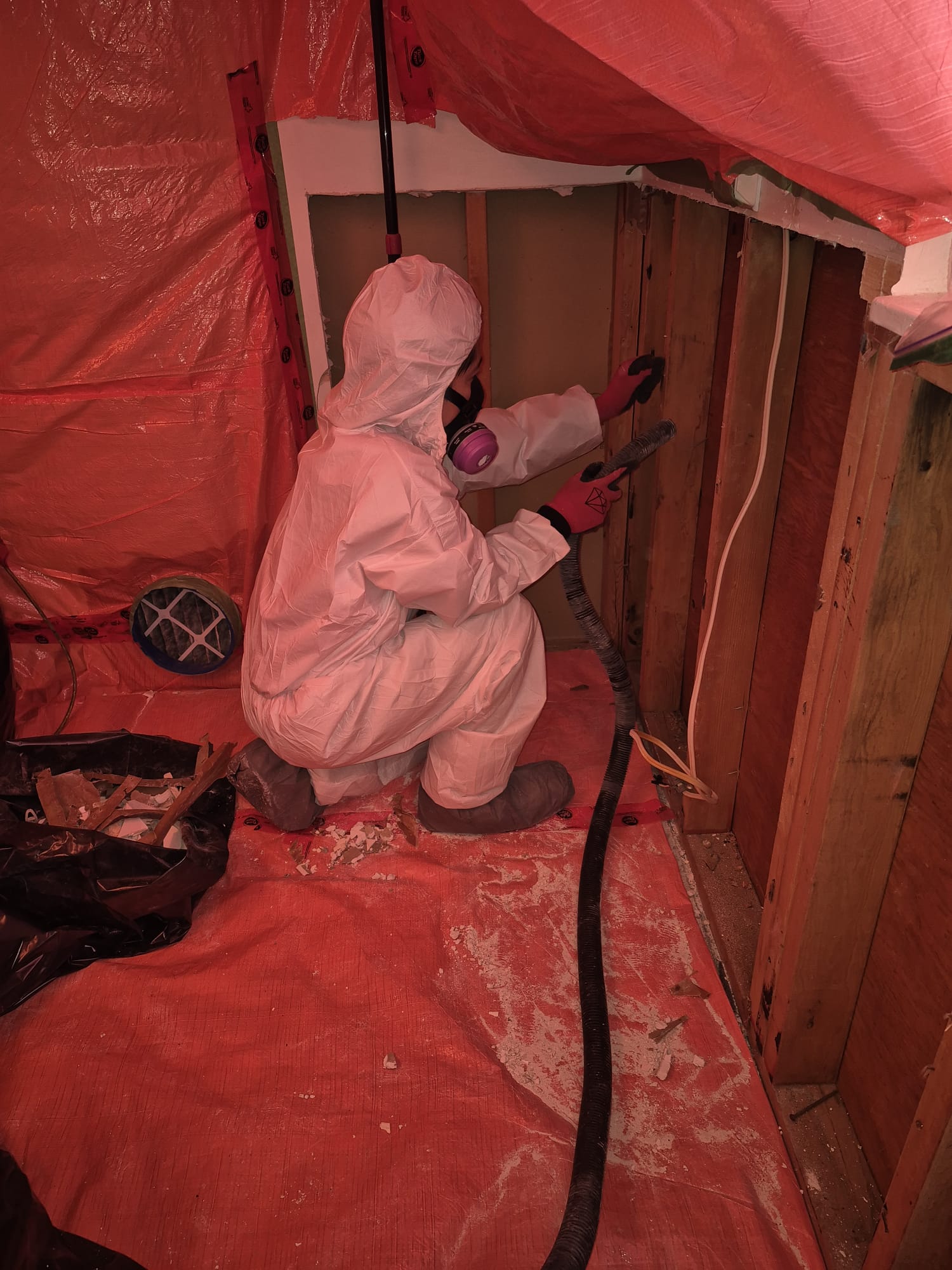Asbestos Abatement